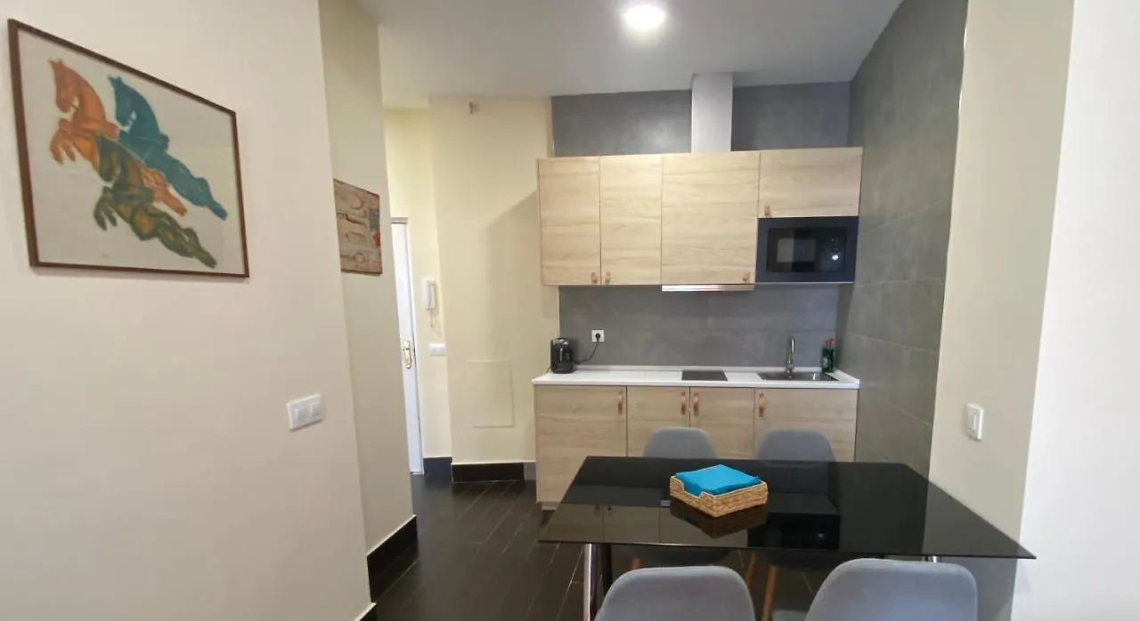 Aym Places Maestranza Apartment Seville